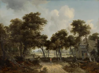 Farmhouses in a Forest Landscape